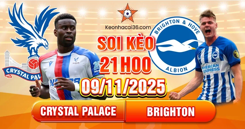 Soi Kèo Châu Á, Tài Xỉu, Châu Âu Crystal Palace Vs Brighton 21h00 09/11/2025